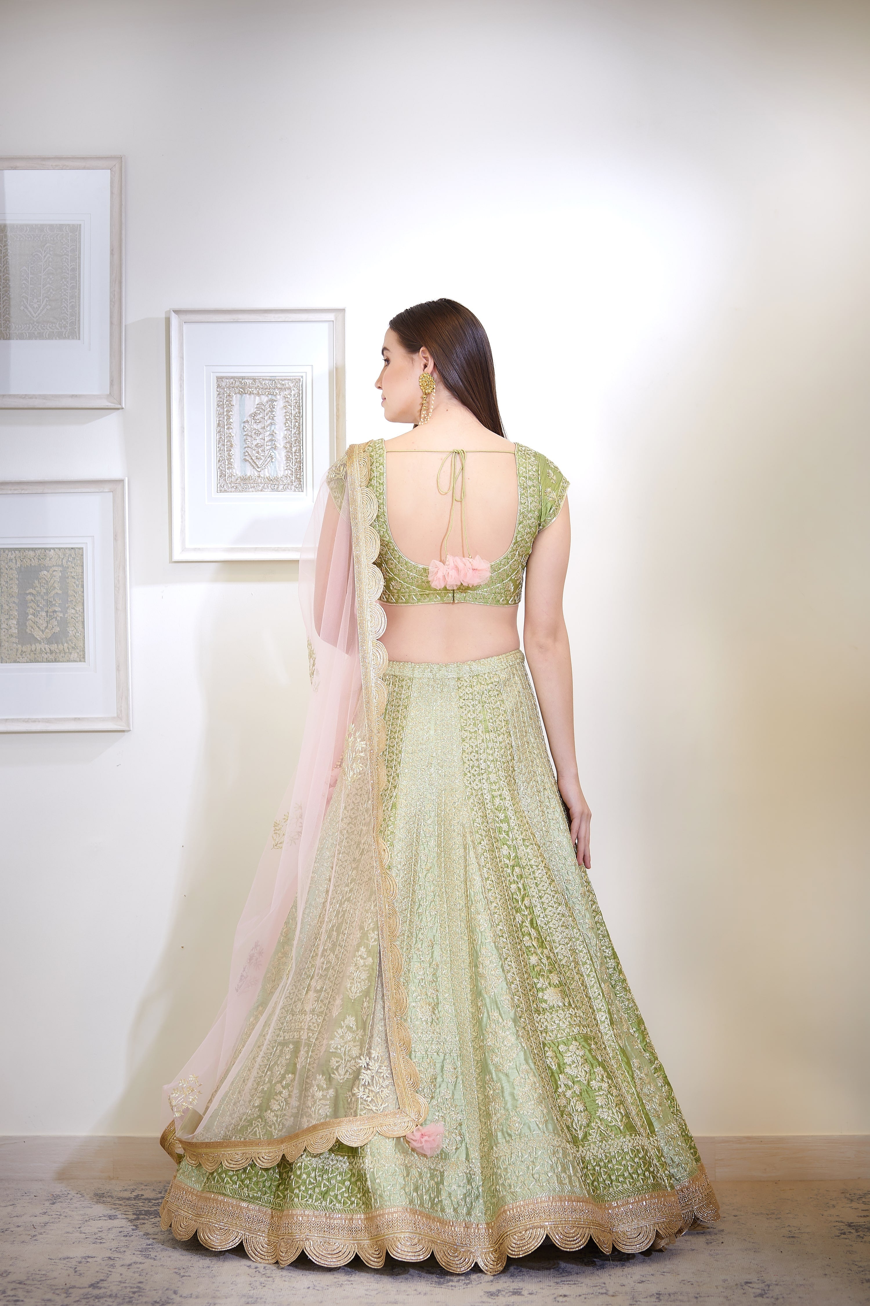 Zari Embroidered Green Lehenga Set- back view