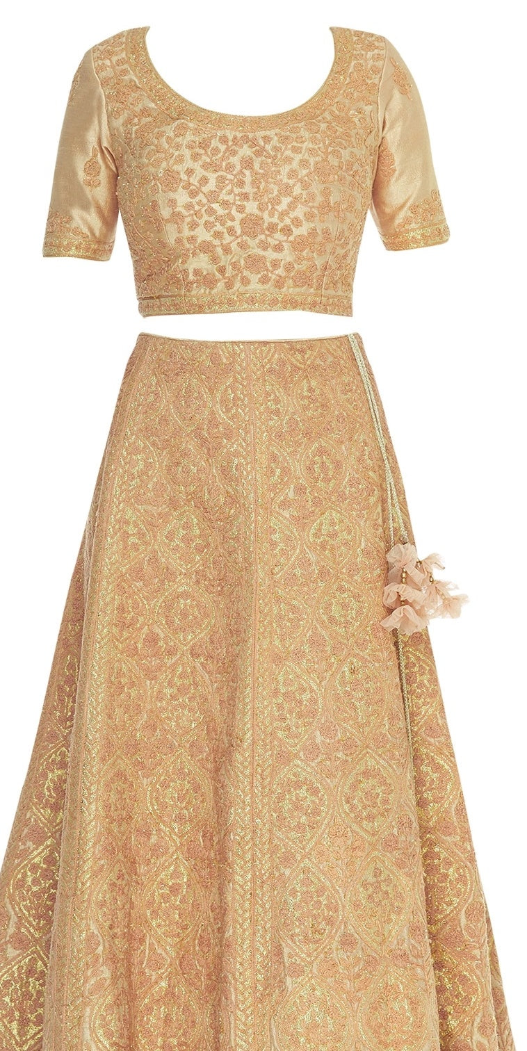 Brocade Dori Embroidered Lehenga Set/ front view